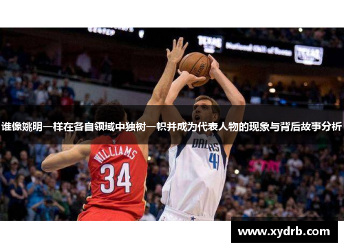 谁像姚明一样在各自领域中独树一帜并成为代表人物的现象与背后故事分析
