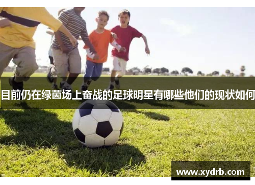 目前仍在绿茵场上奋战的足球明星有哪些他们的现状如何